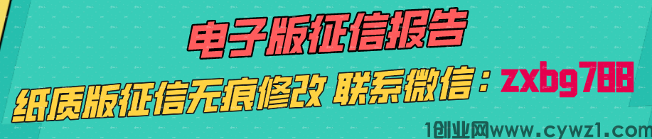 电子版征信报告,纸质版征信无痕修改 联系微信:zxbg788