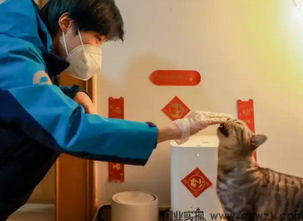 我在小区里做上门喂猫,第一个月赚了1800块