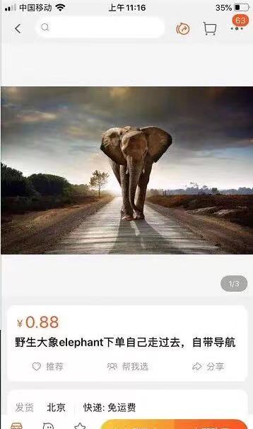 虚拟项目“网上卖大象”。