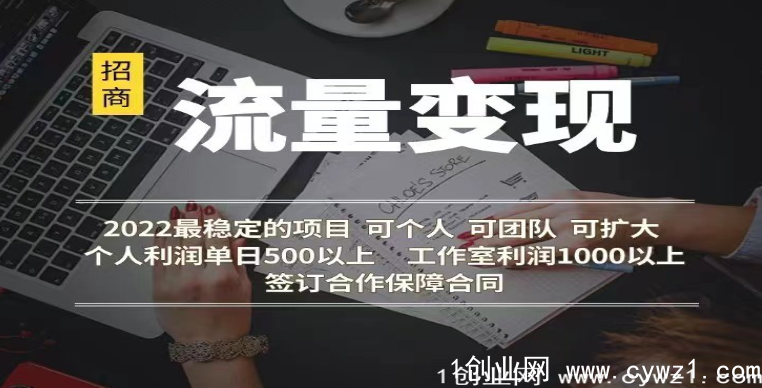 一个绝佳的创业机会！！！流量变现！单人单日600+ 工作室年利润60万