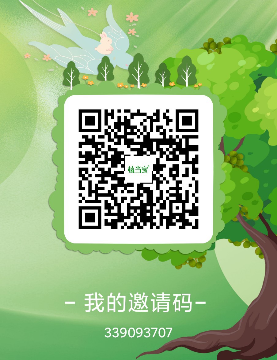 首码刚出：植当家 零撸卷轴模式