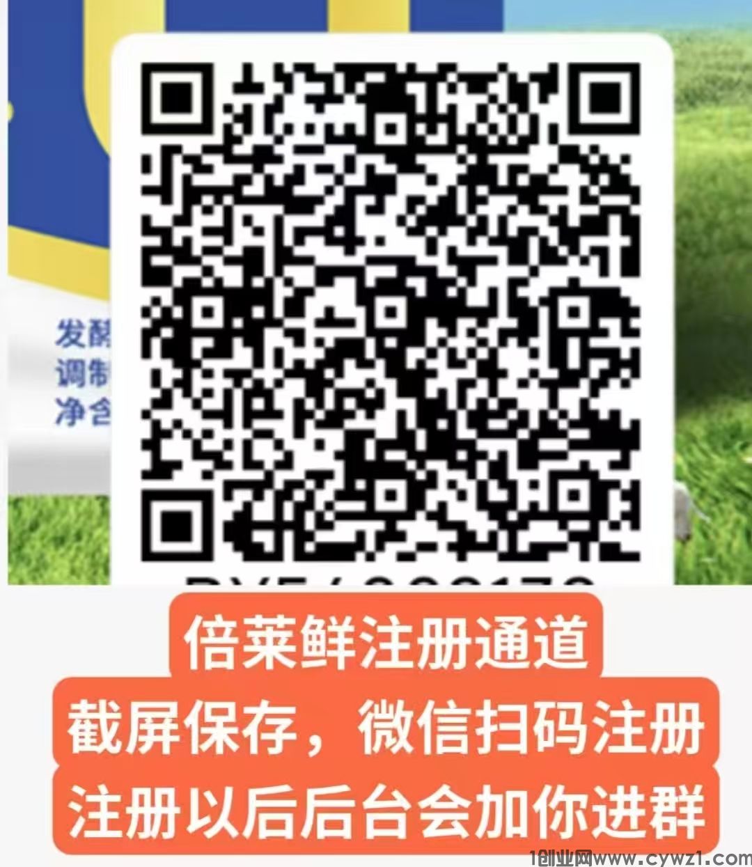 隆力奇倍莱鲜注册+分享秘籍：超详细步骤图解，速存备用