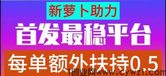 2024新萝卜任务：一单一结,一次做单终身受益