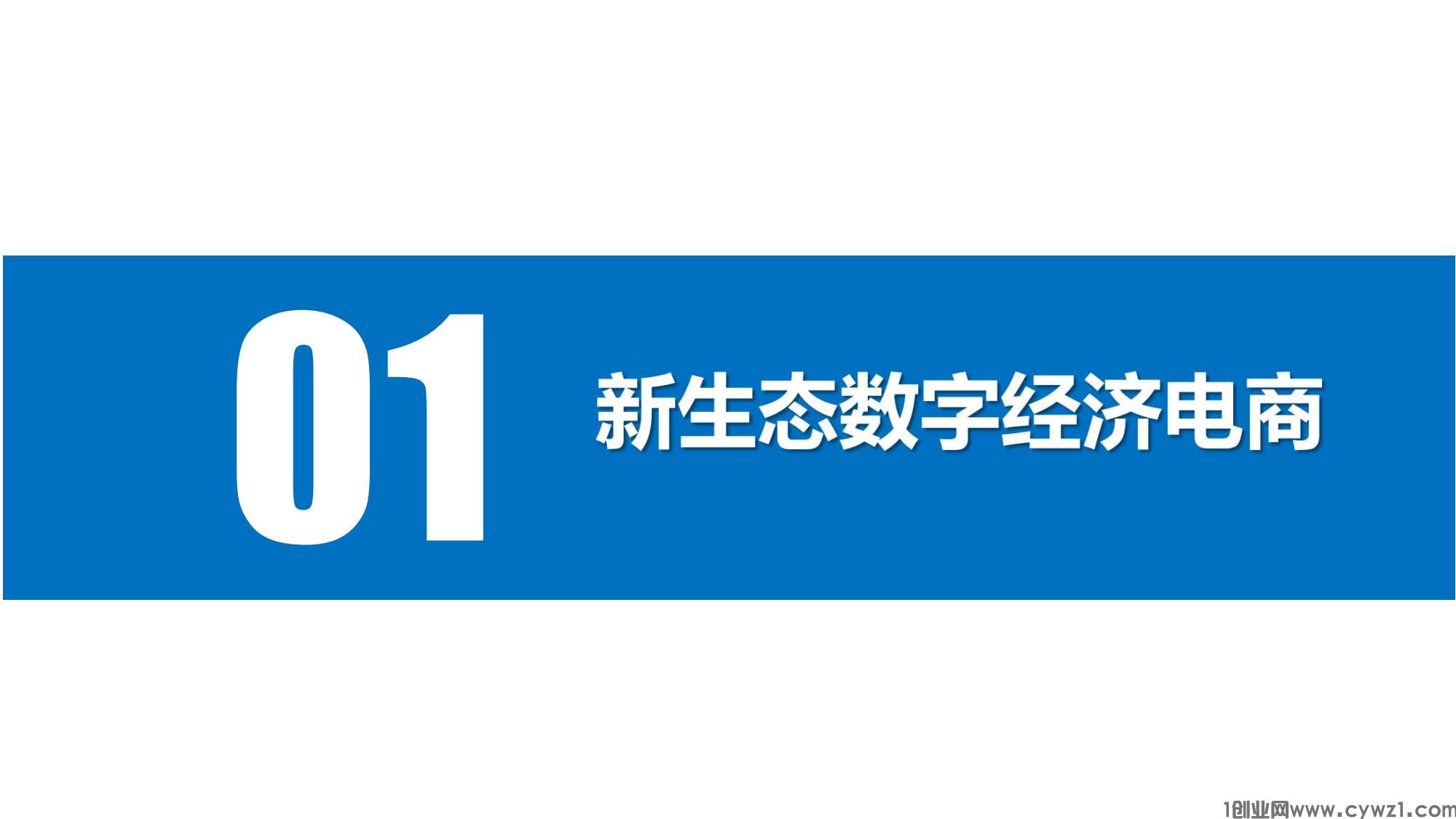 数通国际模式(1)_02.jpg
