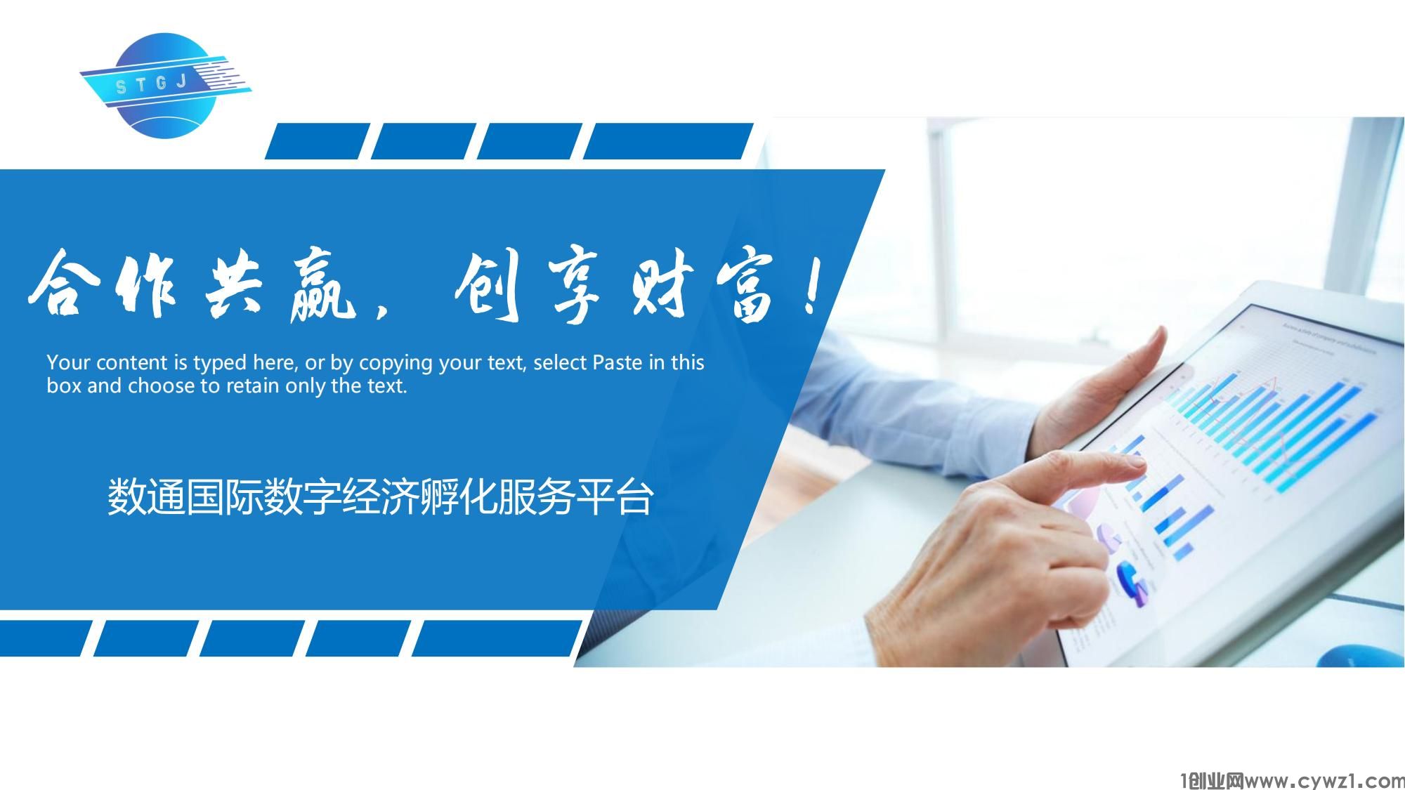 数通国际模式(1)_13.jpg