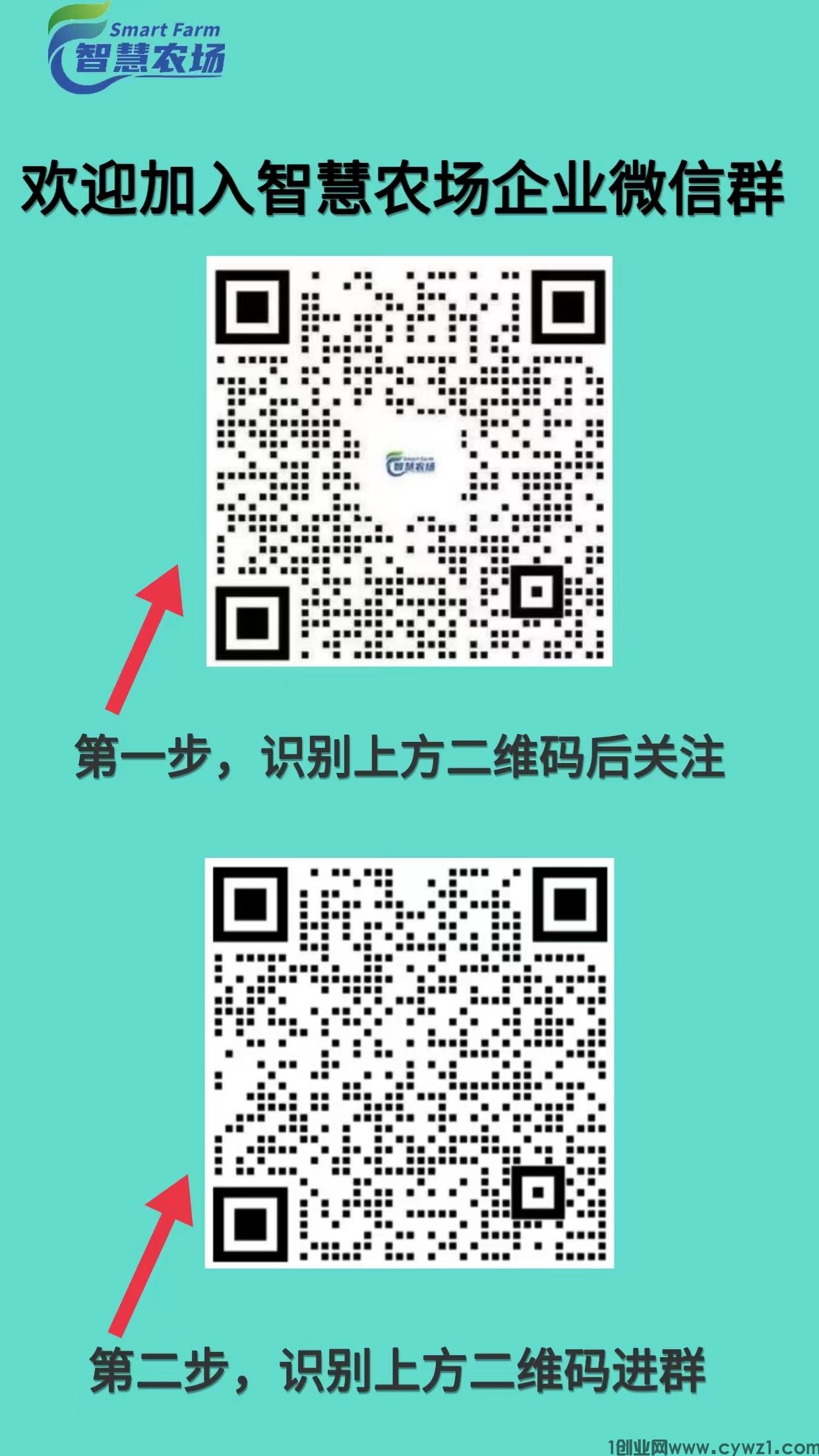 农场3.jpg