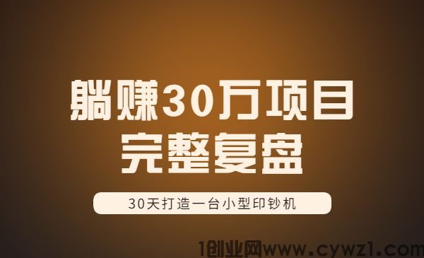 30天打造一台小型印钞机：躺赚30万的项目完整复盘