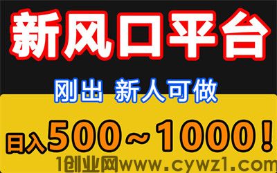 刚推出的代发挂机托管项目，无门槛，一天2000+