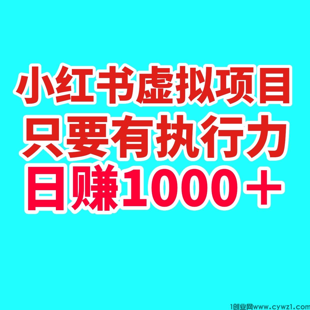 涛哥项目社：小红书虚拟项目日入1000＋只要有执行力