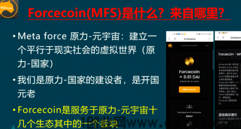 mmexport900dd469d54e9a940a8308416f1ecdeb_1707718805893.png