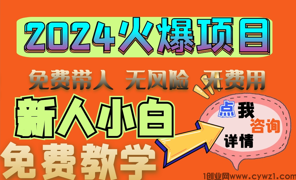 2024火爆网络项目 日入1000+