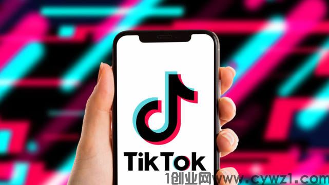 国际版抖音tiktok橱窗项目，单机一天十几美金