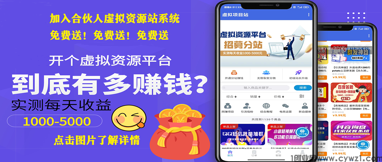 网创项目百宝箱是各种网赚项目的集合 招募虚拟资源站长