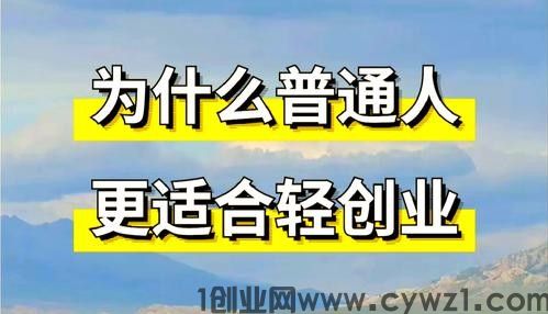 轻创业秘籍大揭秘:自己造船还是借船出海?抖音黑科技云端商城or虚拟资源分站or省赚权益商城可以选择吗?
