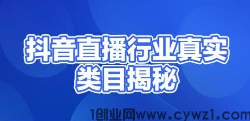2026开启管道收入之抖音黑科技云端商城合伙人，直播间挂铁涨粉点赞软件免费分享