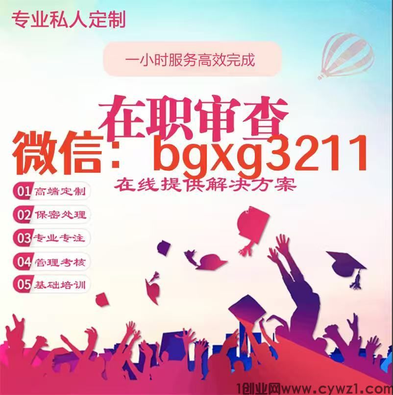 个人征信pdf无痕修改官信用报告编辑评估