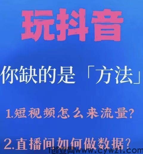 2026首发：揭秘“抖音黑科技云端商城”，抖音直播间挂铁涨粉丝大咖不愿公开的流量自动化真相！