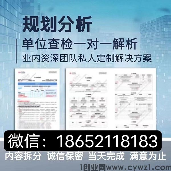 PDF征信报告电子版纸质版报告在线无痕修改