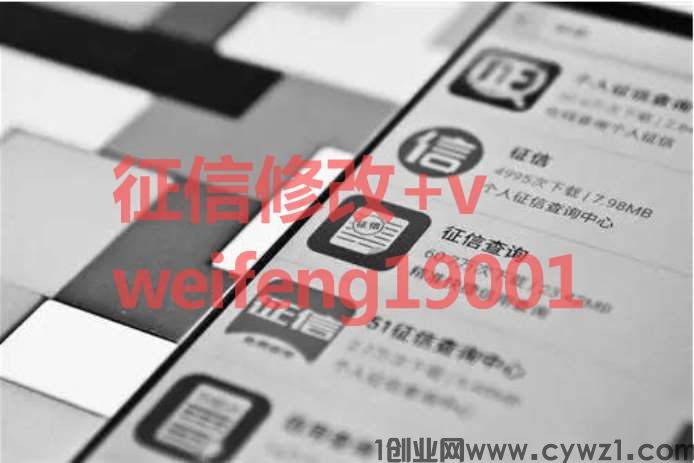 征信报告修改软件无痕修改电子版合格视频教程有吗？