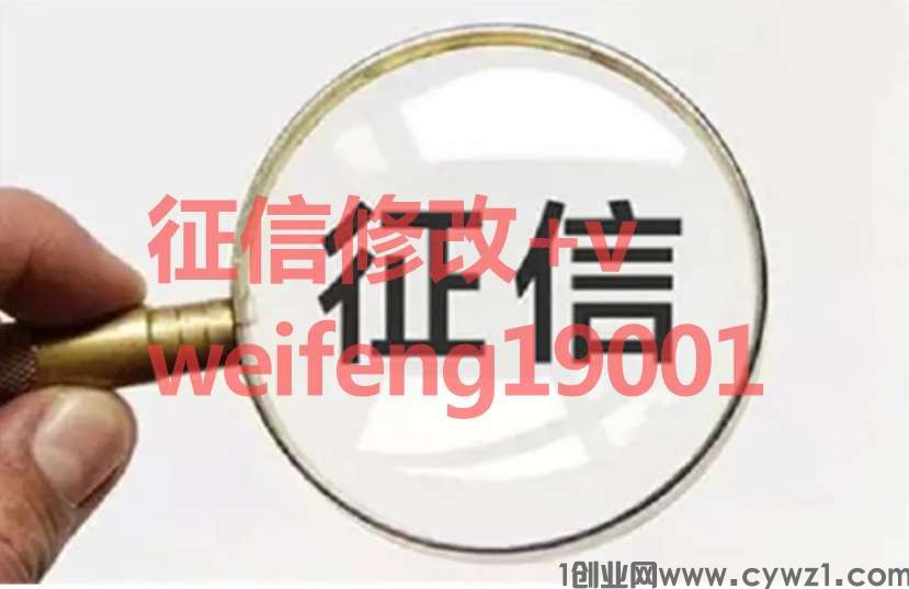 2025征信报告无痕修改电子版征信可以美化吗