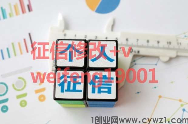 电子版个人征信报告无痕修改的操作流程和方法