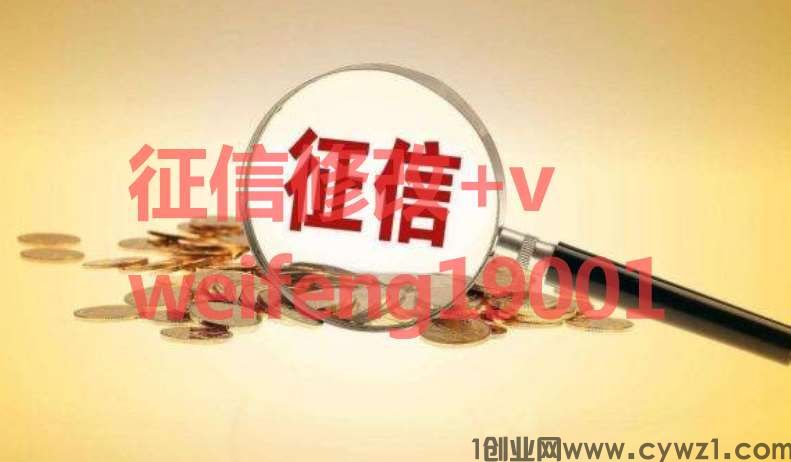 成功入职入职征信pdf电子版修改可行？