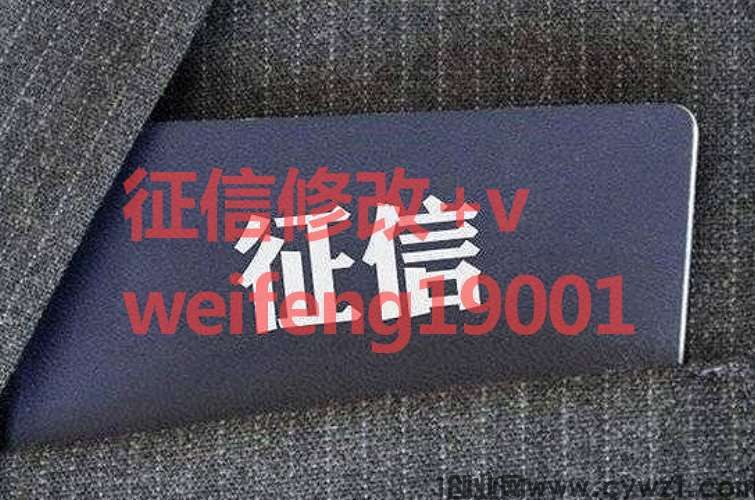 征信pdf信用卡呆账纸质个人征信报告修改详情