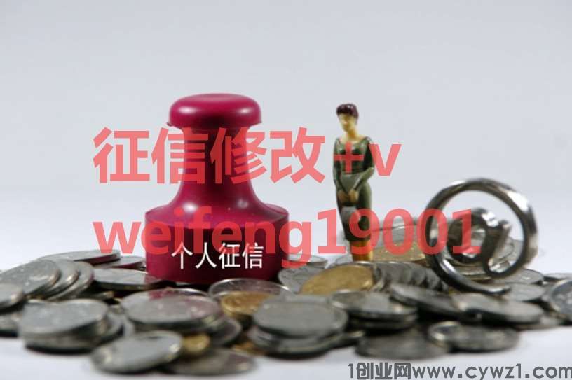 个人征信报告PDF电子版无痕修改和PS区别大吗？