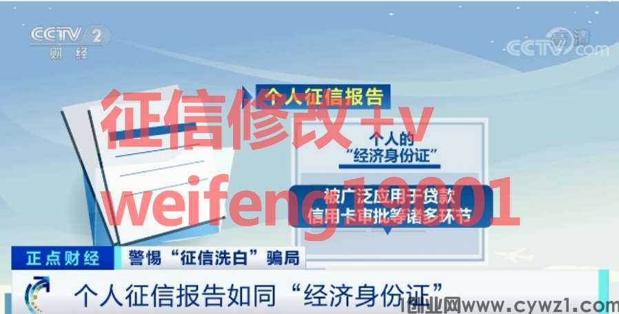 信用简版电子版pdf版征信报告无痕迹修改