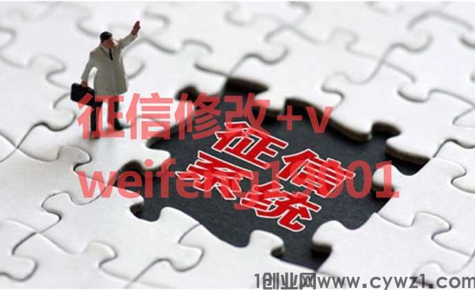 个人征信报告电子版PDF无痕修改精选