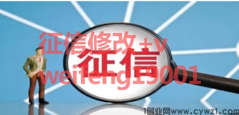 云闪付下载的征信报告PDF文档的制作模版