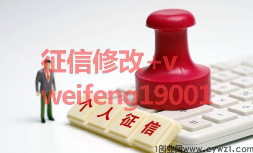 电子版pdf简版报告无痕修改年审入职必备-征信报告修改