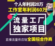 流量变现，人人可做，个人年利润20万，工作室年利润60万