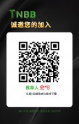 零撸 TNBB火爆内测 20号开放交易
