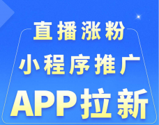 全网最火爆长期稳定项目运营6年实力派