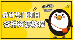 每天收益200+，虚拟产品项目知识付费平台，拥有独立后台，APP